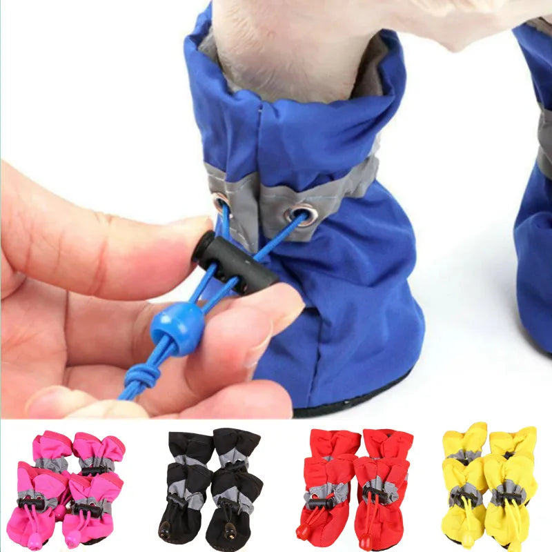 Main qui serre le cordon d'une botte bleue sur la patte d'un chien, bottes roses, noires, rouges et jaunes en dessous