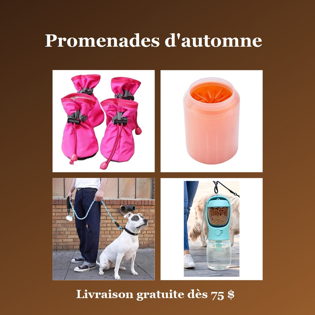 Ensemble Promenades d'automne : bottes pour chien, nettoyeur de pattes, laisse réfléchissante et gourde de voyage