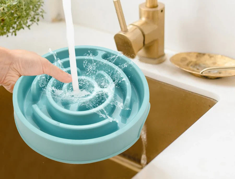 Gamelle anti-glouton rincée sous l'eau