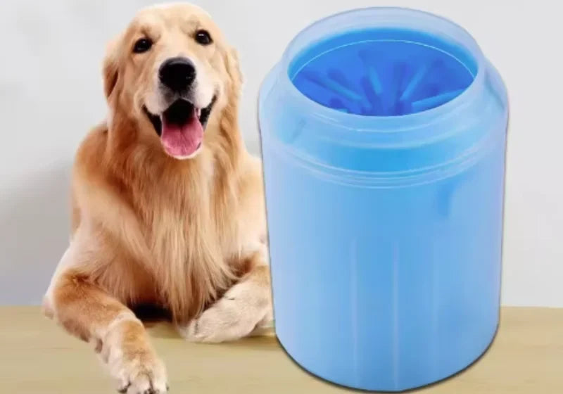 Golden retriever à côté du nettoyeur de pattes bleu