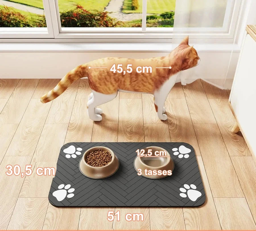Chat qui mange sur le tapis absorbant posé au sol