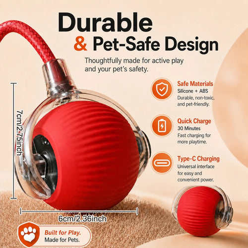 Balle interactive automatique rechargeable pour chat – photo 6