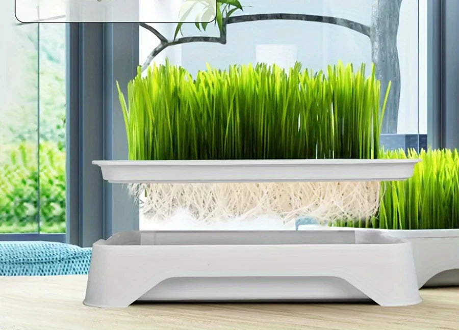 Plateau d'herbe à chat avec sa grille de maintien