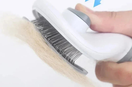 Main qui presse le bouton de la brosse autonettoyante