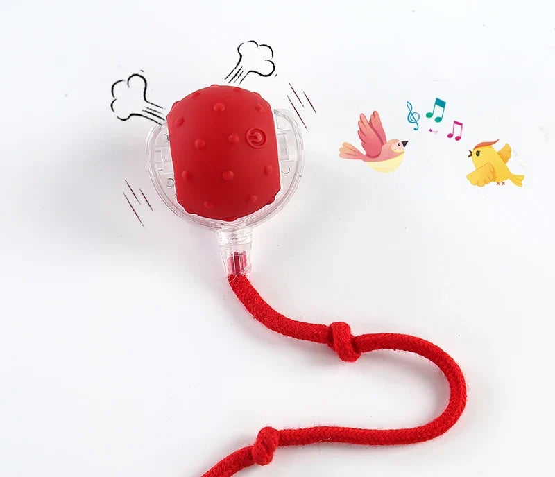 Balle interactive rouge avec plume et corde