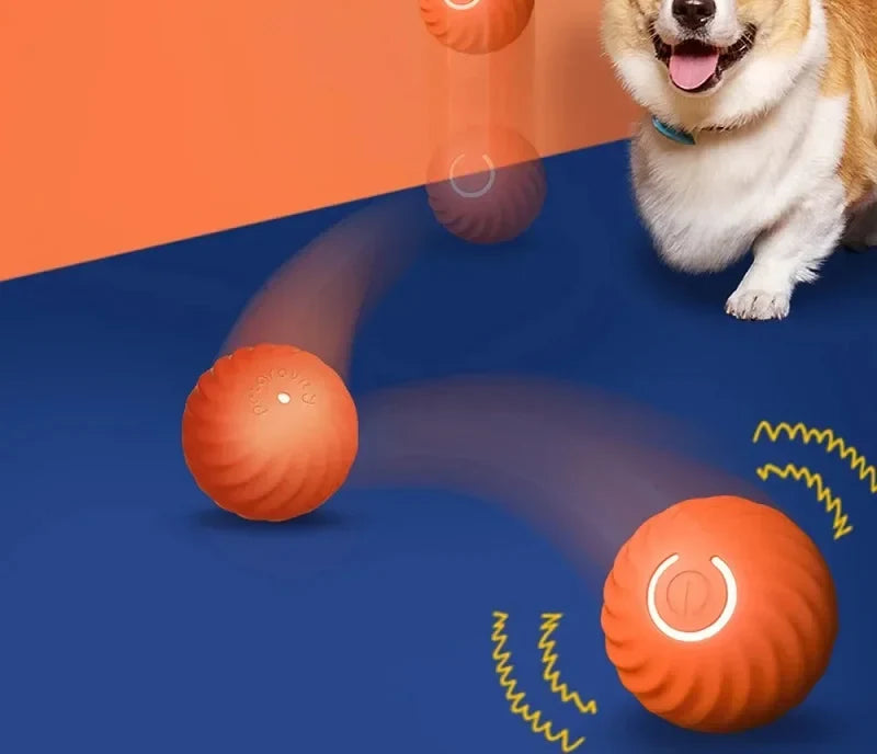 Chien qui joue avec la balle interactive orange