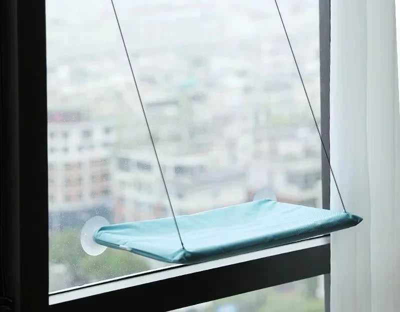 Hamac de fenêtre bleu fixé à la vitre