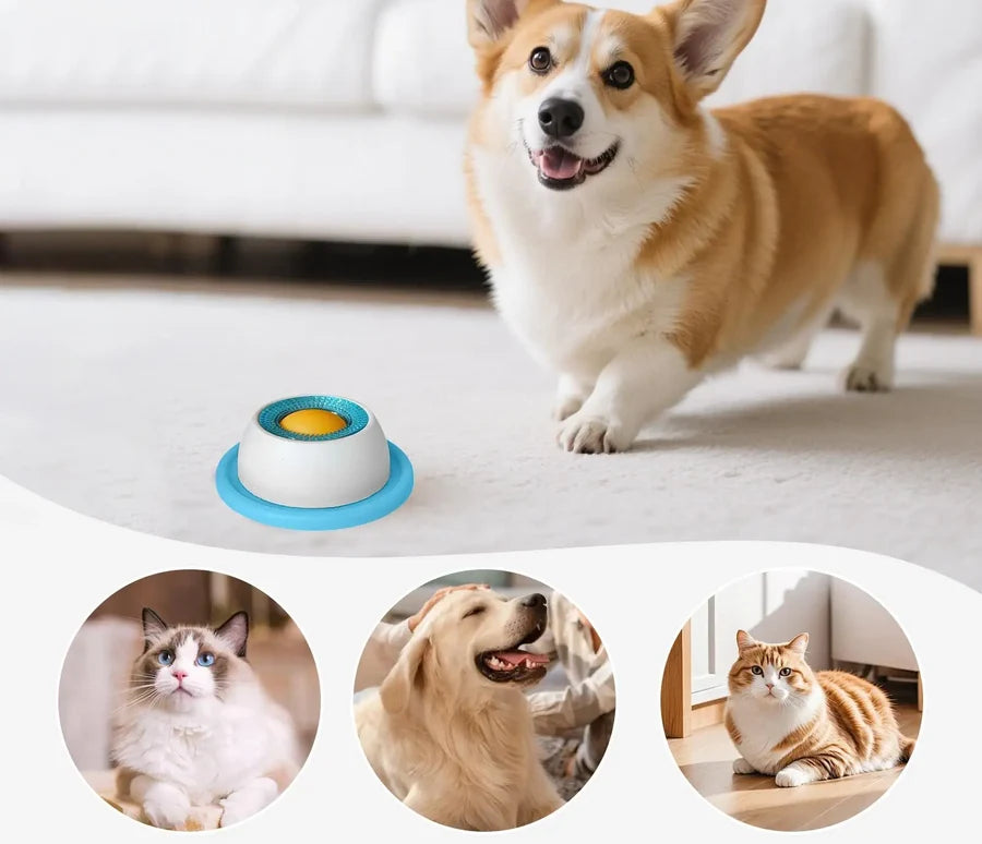 Chien à côté du bol distributeur de gâteries