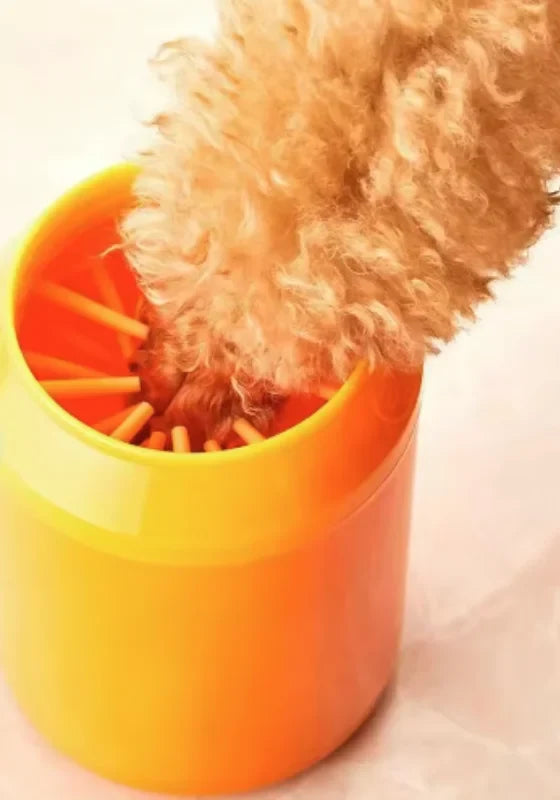 Patte de chien dans le nettoyeur orange