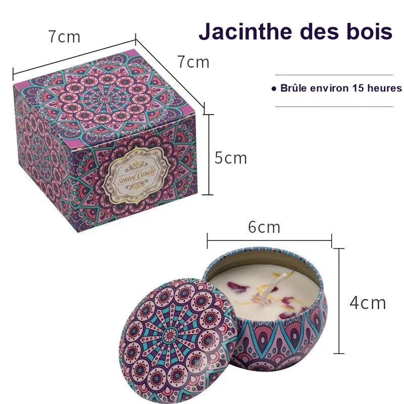 Bougie parfumée vintage à la jacinthe des bois, avec sa boîte cadeau et ses dimensions